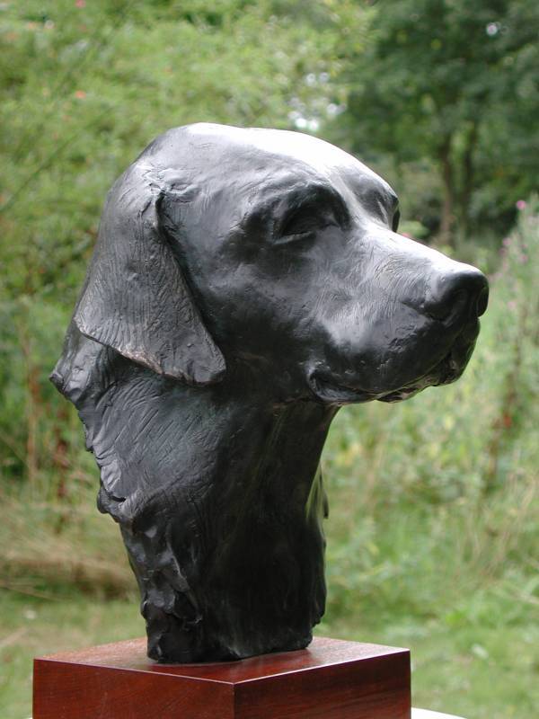 "Cooper" is a black labrador commission by a North American labrador lover and art collector and his wife - shown here is the bronze bust