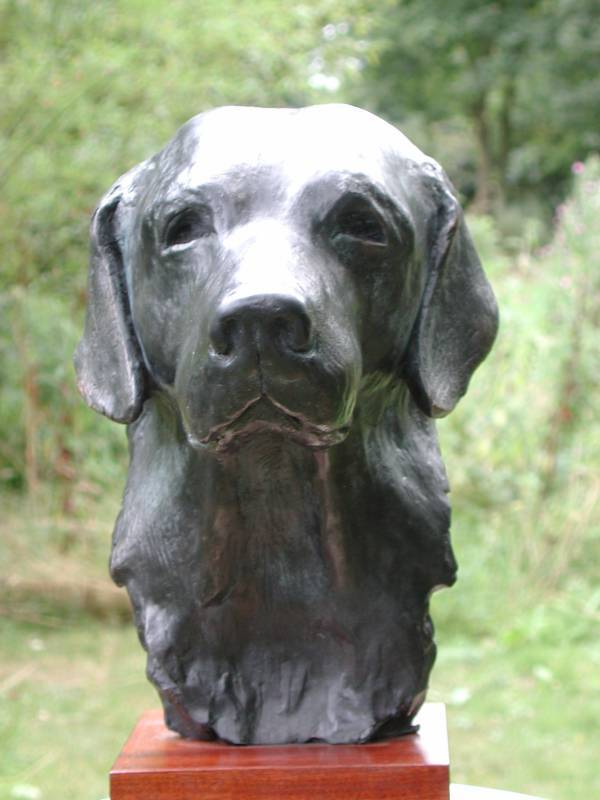 Bronze sculpture portrait of a labrador