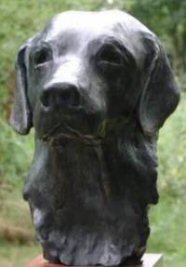 Bronze bust of a labrador by animal sculptor Laury Dizengremel