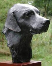 Bronze bust of a labrador by animal sculptor Laury Dizengremel