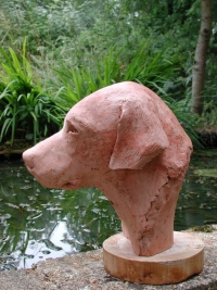 Man's best friend - bust of a labrador - click on image for larger views
